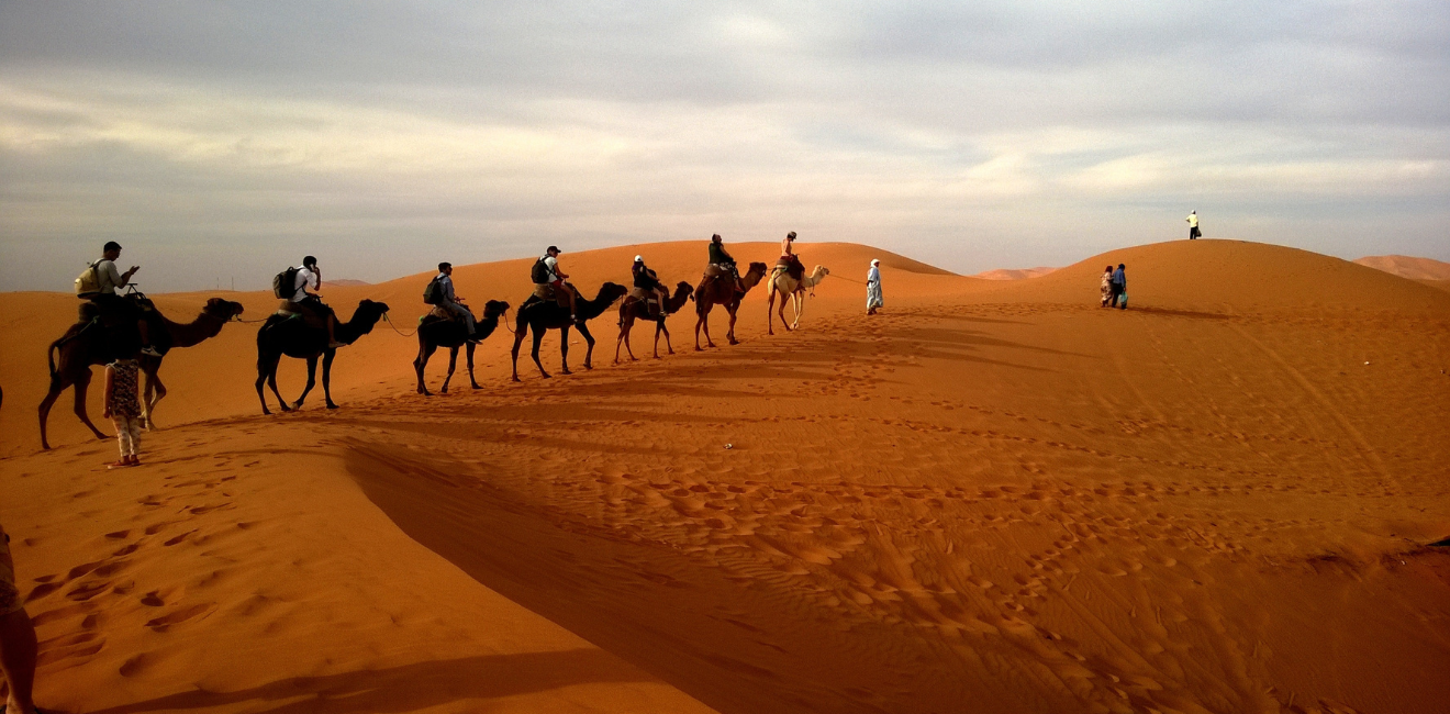 Desert Safari in Dubai: everything you need to know